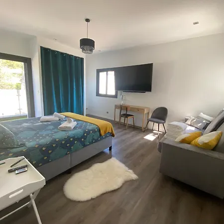 Villa Maison Avec Piscine Saint-Raphaël